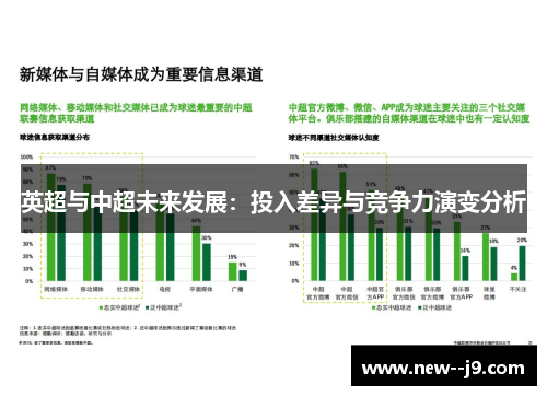 英超与中超未来发展：投入差异与竞争力演变分析